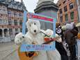 Bedreigde dieren zingen tegen klimaatopwarming op Grote Markt