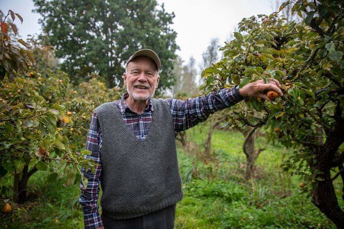 81 jaar en nog een eigen boomgaard. En de oogst? Die is voor ‘de buurt