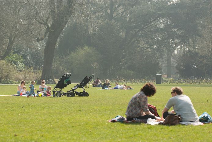 De mishandeling vond plaats in het Julianapark.