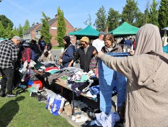 Gezellige drukte op rommelmarkt in Vroonhofwijk