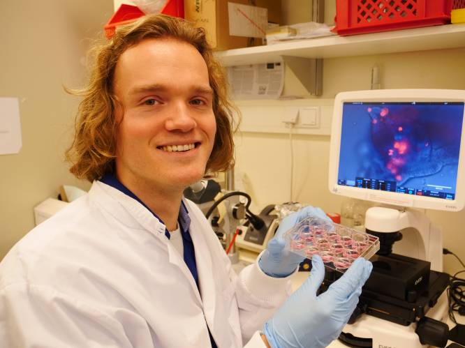 Dit Utrechtse lab kweekt organen: ‘Kijk, dit zijn mini-darmpjes’