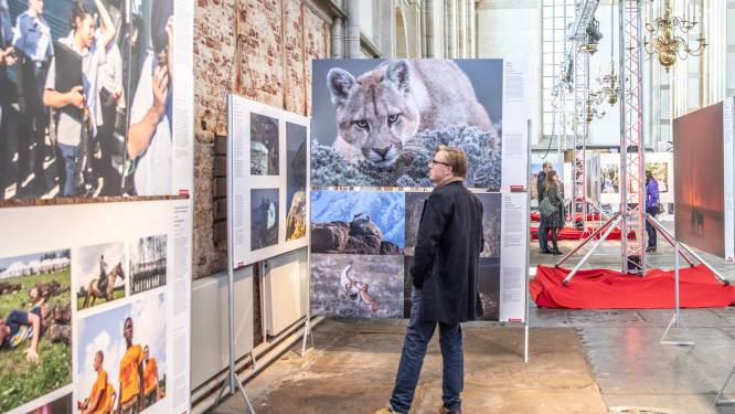 World Press Photo-tentoonstelling naar Gouda: ‘Niet de vriendelijkste foto’s, maar ze gáán ergens over’