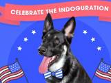 Bidens hond Major krijgt eigen 'indoguration'