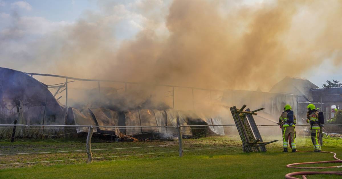 Bemmel: Grote brand in een paardenstal.