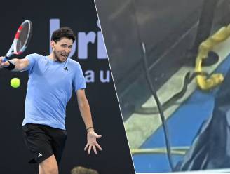 KIJK. Een van de meest giftige slangen ter wereld plots op court ATP-toernooi Brisbane: Thiem komt met de schrik vrij