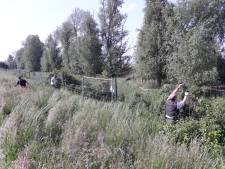 Van kwaad tot erger in Oostvaardersplassen; gebiedsverbod bepleit
