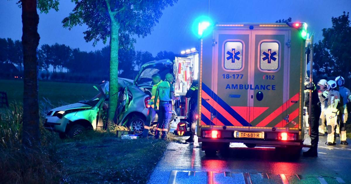 22-jarige man botst met zijn auto tegen een boom in Leerbroek en overlijdt