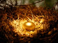 Op zoek naar het gouden ei laten investeerders Twentse startups links liggen