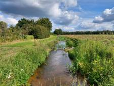 Uitzonderlijke maatregel tegen droogte: gezuiverd rioolwater door Hazelbergse Loop en Leijgraaf