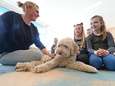 Deze school heeft een hond: 'Zo’n hond oordeelt niet en heeft iets ontwapenends'