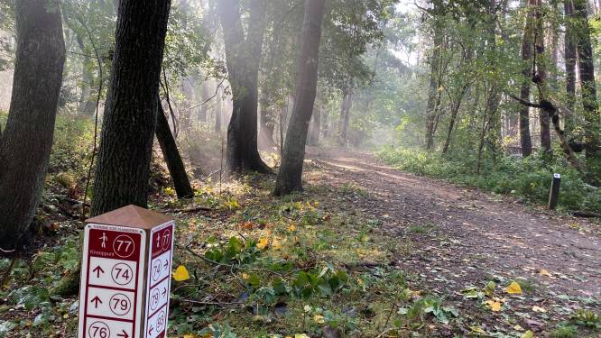Geniet van een combinatie van natuur en geschiedenis in het Stropersbos