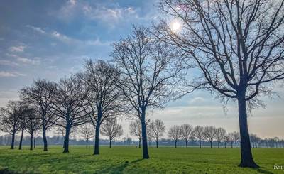 IVN staakt verzet tegen kap oude eiken in Heeze; ‘Slag verloren, maar we geven niet op’