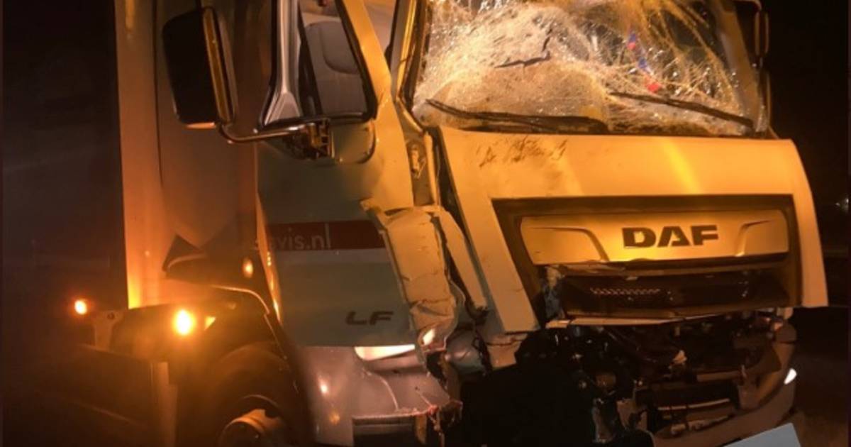 Twee paarden overleden bij ongeluk op A50.
