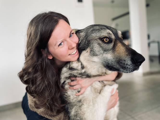 
Annelies (33) kreeg letterlijk grijze (wenkbrauw)haren nadat ze straathond Bito redde: “Ik wilde nog méér doen, maar toen zei mijn lichaam ‘stop’”