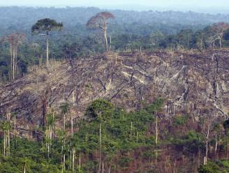 Duitsland schenkt 200 miljoen euro voor bescherming Amazonewoud in Brazilië
