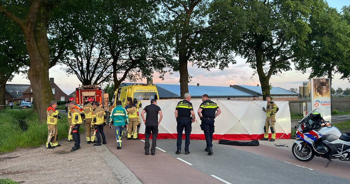 Automobiliste uit Tilburg komt om het leven bij harde botsing tegen boom in Baarle-Nassau.