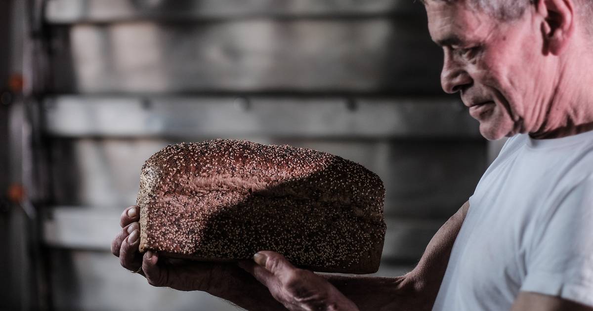 Leo Ebbers Weet Wat Het Bakken Van Lekker Brood Betekent Water En Rust Maken Het Verschil Bronckhorst Gelderlander Nl