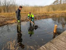 Gemeente op zoek naar oorzaak verdroging Grootmeer. ‘Weghalen van slib mogelijk oplossing’