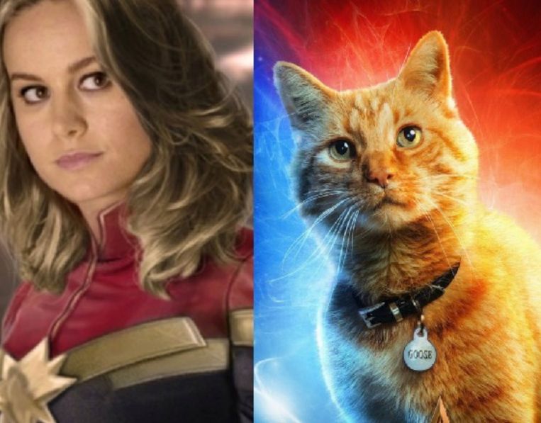 ‘Captain Marvel’ brengt bijzondere ode aan beste maatje van Tom Cruise