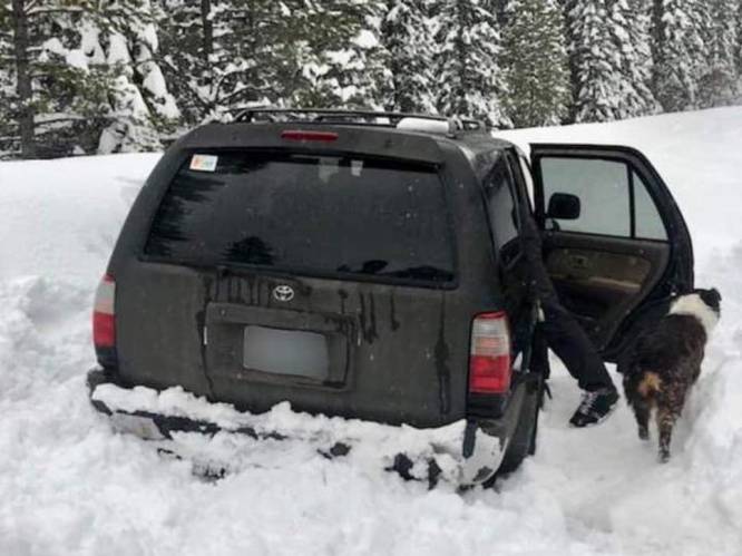 Politie vindt ingesneeuwde man terug die vijf dagen in zijn auto overleefde op ... tacosaus