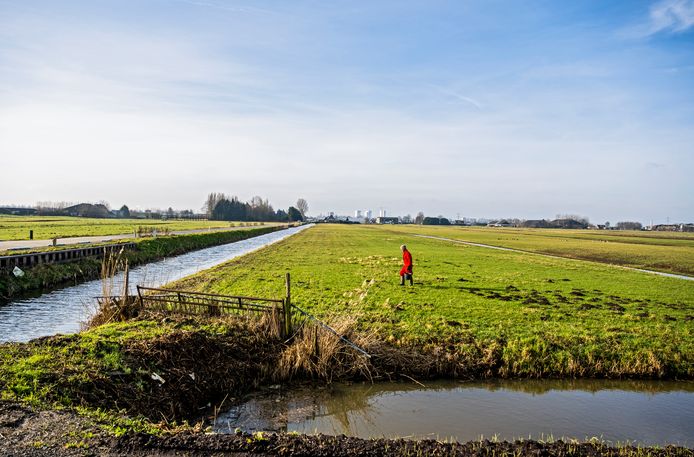 De weilanden van het toekomstige Vijfde Dorp in de Gemeente Zuidplas, op de kruising met de Derde Tochtweg en de Zuidelijke Dwarsweg in Zevenhuizen/Nieuwerkerk.