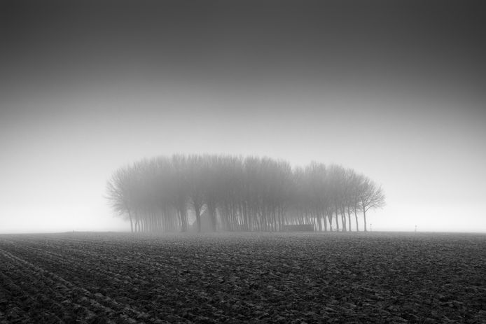 ‘Dense Fog’, zwart-wit foto uit de prijswinnende serie Mistery.