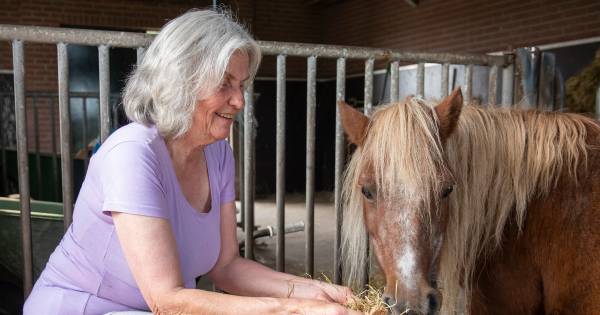 Noodkreet van stichting 't Olde Manegepeerd in Dalmsholte: 'Deze paarden mogen nooit vergeten worden