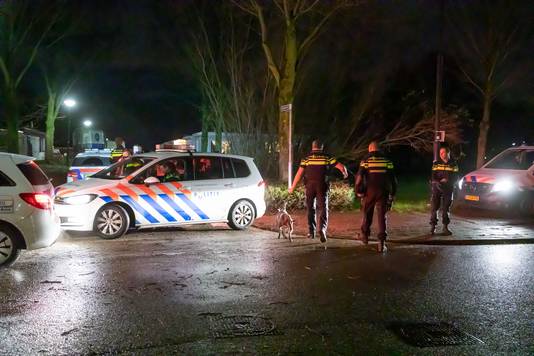 De politie nam een pitbull mee.