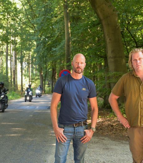 Roep om minder verkeer in ‘het meest bijzondere bos van Nederland’: ‘Te veel stikstofneerslag’