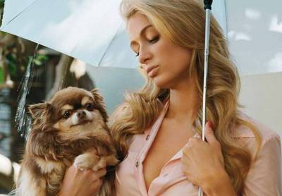 Paris Hilton verliest chihuahua Harajuku Bitch: “Ze was meer dan gewoon een huisdier”