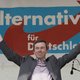Waar Wilders faalde, boeken Duitsers succes: 6 zetels winst voor eurosceptici