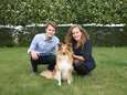HelloFresh voor honden in Aalter: BuddyBites brengt hondenvoeding op maat aan huis
