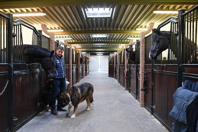 Bonje over sperma van voormalig paard Anky van Grunsven: ‘Gemis van opbrengst is catastrofaal’