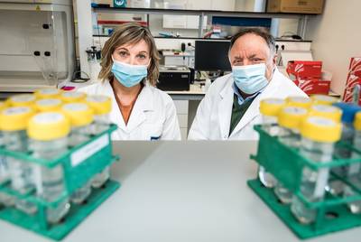 Leuvens lab vindt hoogste concentraties coronavirus in rioolwater sinds start metingen eind 2020: “Verrassend”