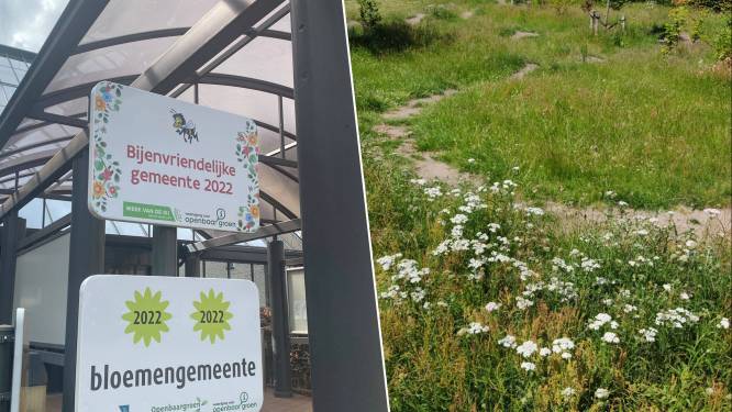 Gemeentebestuur in de bloemetjes (én bijtjes) gezet tijdens Openbaar Groen Awards