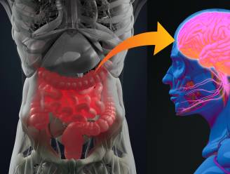 Depressie? Je darmflora is mogelijk de boosdoener. Maag- en darmexperten geven uitleg over je stoelgang