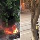 Video toont moment waarop man met mes uithaalt naar politie in Melbourne - IS eist steekpartij op: één dode en twee gewonden