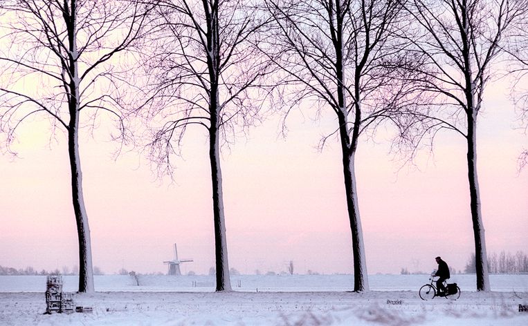 null Beeld 