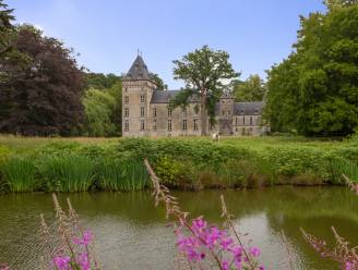 Gemeente vraagt inwoners of ze al dan niet kasteel van Westmalle moet kopen 