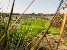 Waarom Overijsselse piekbelasters zich niet laten uitkopen