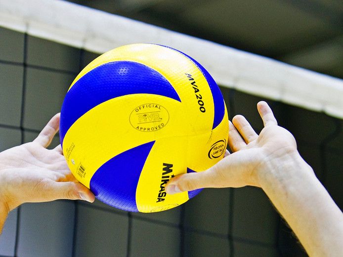 Volleybal stock pzc