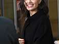 Opgelet: Angelina Jolie is vandaag in Brussel