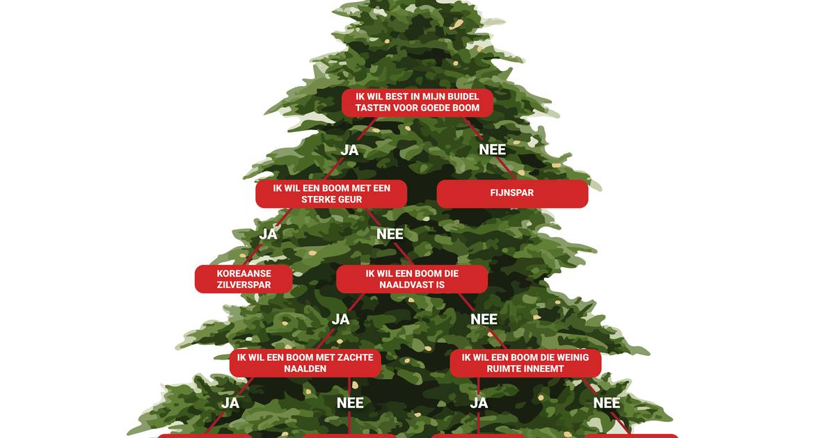wastafel kabel Op grote schaal Echte kerstboom kopen? Lees dan eerst deze tips | Zwolle | destentor.nl