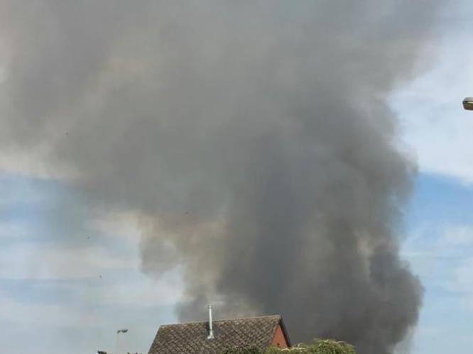 Brandweer blust bosbrand in Lommel: “Zeer intensief om te blussen met deze temperaturen”