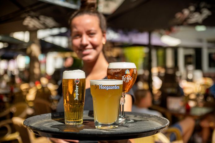 Het biertje wordt opnieuw duurder. Onvermijdelijk, zeggen de brouwers, vanwege oplopende kosten. Kroegeigenaren en kasteleins spreken eerder van ‘een ordinaire margeverhoging’.