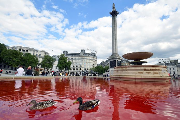 Dierenactivisten kleuren water Londense fonteinen rood