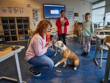 Huilbui in de klas? Viervoeter Bex brengt kinderen snel weer tot rust