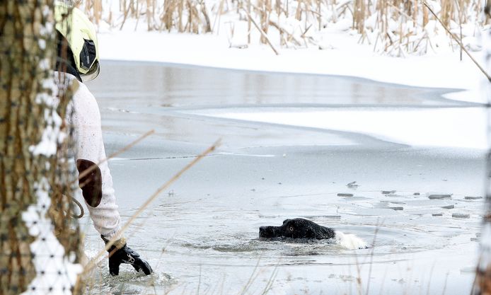 Hond door het ijs gezakt in Haaren.