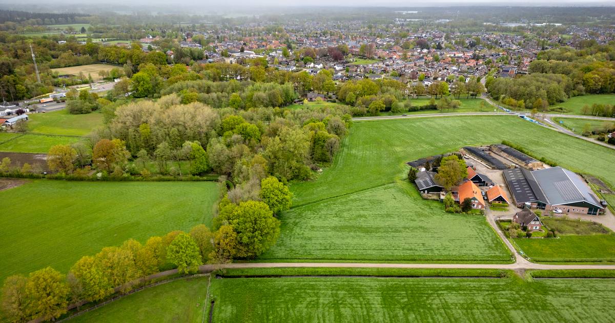 Omwonenden azc Denekamp verbijsterd en vol ongeloof over plek: ‘Een heel bos moet verdwijnen, snap j