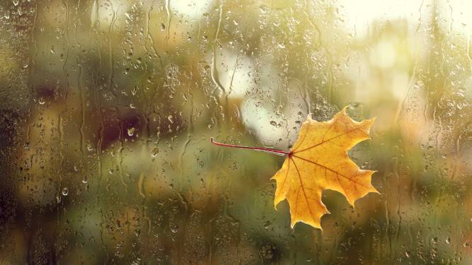 Wisselvallig weekend met regen, zondagnamiddag geleidelijk opklaringen